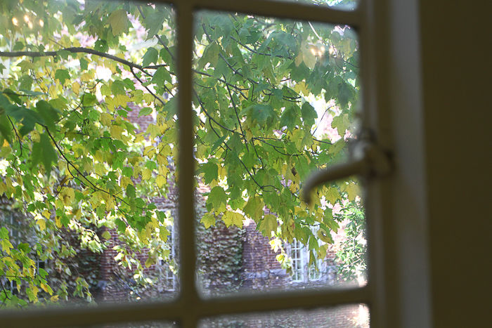 Window